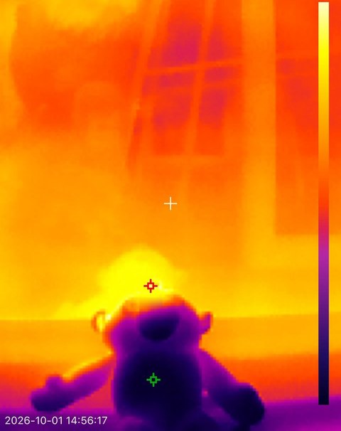 同一位置的熱像圖，猴子娃娃身體 33.9°C，後方玻璃 48.0°C