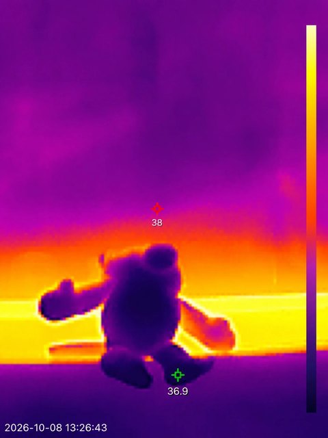 同一位置的熱像圖，直曬的猴子娃娃最低溫 36.9°C
